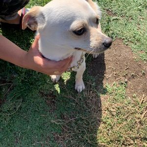 Meet your Posher, Bryan